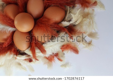 Easter composition. eggs lie on a white background. White bird feathers are scattered on the table. Art photo for Easter holiday. Easter background.