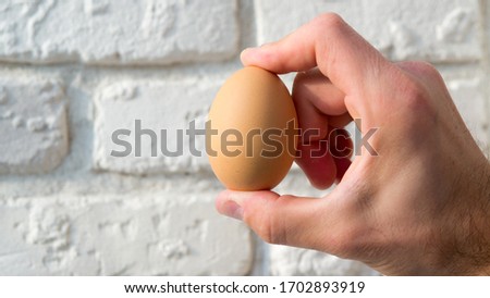 Male hand holds a chicken egg,close-up,on a background of a brick wall.
