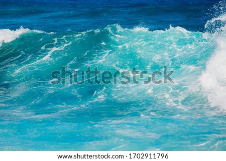 Perfect fresh wave at it's break point. Blue water and blue sky with the white foam. Clear water of the pacific ocean