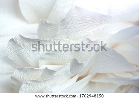 White flower texture background. Artifical peony flower petals. Abstract pastel floral backdrop. Beautiful blossom. Handmade flower. Macro close up, copy space, selective focus