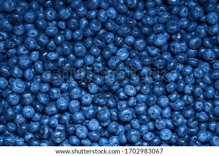 Fresh sweet blueberry background. Vaccinium corymbosum, the northern highbush blueberry. Closeup swamp huckleberry berry texture, top view Royalty-Free Stock Photo #1702983067