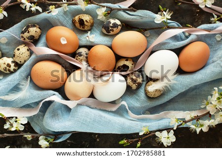 Beautiful Easter eggs flat lay. Lot of white and brown chicken and quail eggs of natural color on blue linen towel with feathers and blooming tree branches, close up.Easter still life, selective focus