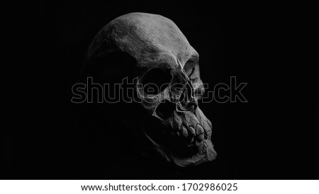 Scary grunge skull wallpaper. Halloween background with free space for text. Design for t-shirt print.