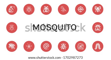 Set of mosquito icons. Such as Insecticide, Bed bug, Moth, Mosquito, Anti bug, Flea, Mosquito coil, Weevil, Insect, Caterpillar, Ant , icons