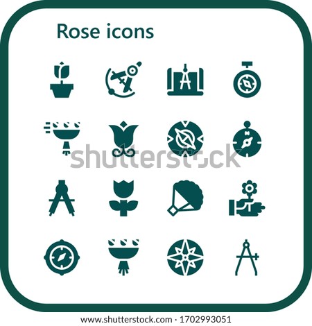 rose icon set. 16 filled rose icons. Included Rose, Compass, Bouquet, Flower icons