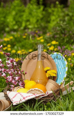 Lunch in the park on the green grass. Summer sunny day and picnic basket. With paper utensils. Picnic concept without plastic.