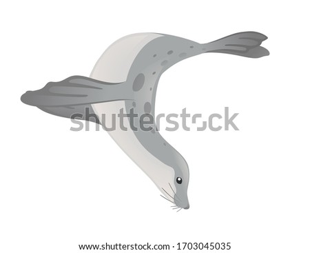 Cute seal cartoon animal design flat vector illustration isolated on white background