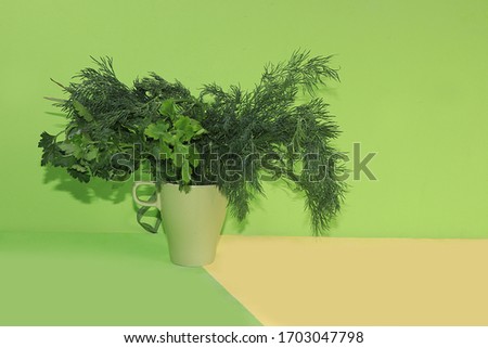 Dill and parsley on a green background. The concept of healthy and natural foods to enhance immunity, healthy lifestyles and weight loss, vitamins, diet food. banner for screen