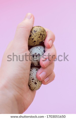 Quail egg in a hand on a pink background.