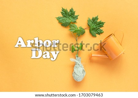 Young tree seedlings and garden supplies tools. Arbor day - space for text	 Royalty-Free Stock Photo #1703079463