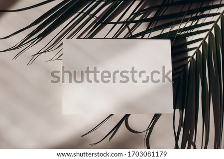 Summer tropical stationery still life scene. Beige table background in sunlight and palm leaf. Blank business, greeting card, invitation mockup scene. Long harsh shadows. Vacation flat lay, top view. 