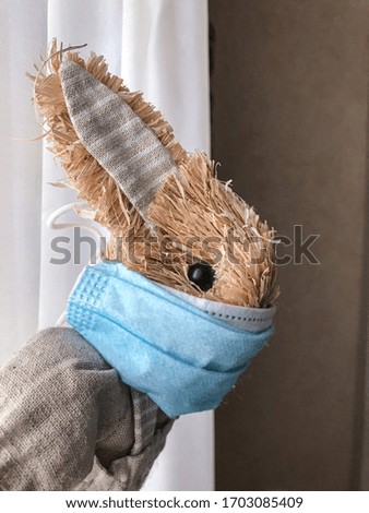 Quarantine Easter bunny looking in mask