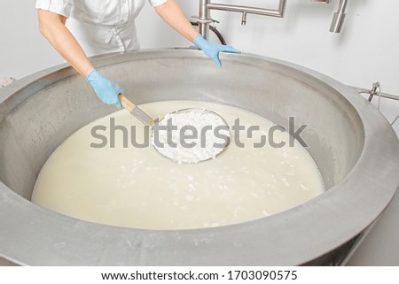 tank of milk for making cheese Royalty-Free Stock Photo #1703090575