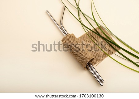 Reusable Metal Straws with Portable Case - Stainless Steel, Eco-Friendly Drinking Straw Set with  Cleaning Brushes. Metal straw on a pastel background with green grass and brown burlap cloth. Royalty-Free Stock Photo #1703100130