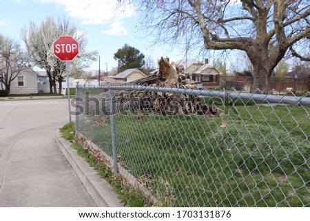 Chain link fence in front of a stop sign and smashed fallen tree that fell due to strong winds and a 5.7 magnitude earthquake near Salt Lake City Utah on 18 March 2020 during the coronavirus pandemic