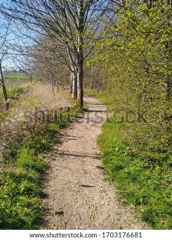 Woodland path - Spring & Nature