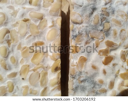 close up of raw tempe photo with wooden background
