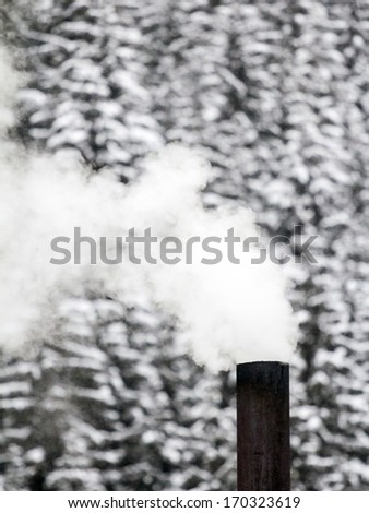 Smoke from the chimney with fir trees in the background