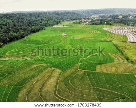 aerial panorama of agrarian rice fields landscape in the city of Semarang, Central Java, Indonesia