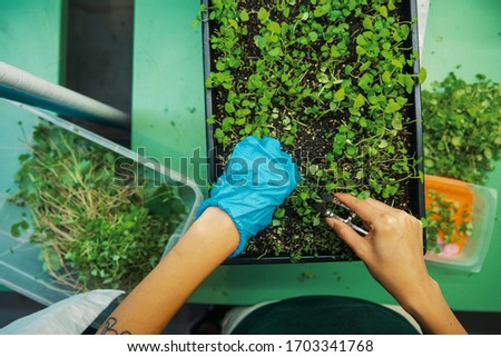 close up of a person in a garden - green organic plants