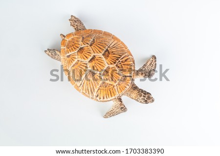 Sea turtle on White Background