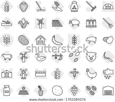 Editable thin line isolated vector icon set - spikelets vector, bunker, windmill, greenhouse, plow, soil cutter, cow, coffee seeds, field, fork, sickle, flour, pig, grape, harvest, corn, seedling