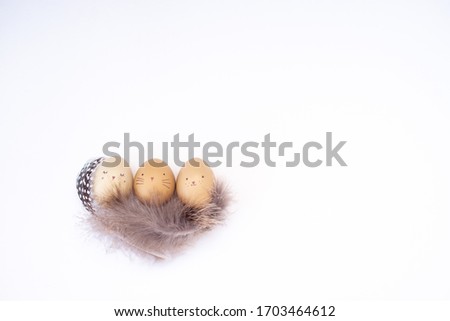 cozy Easter eggs with painted animal faces in a nest of feathers on a white background
