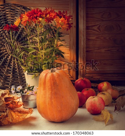 Pumpkin, apples, yellow leaves in the storeroom in the sun. Toning retro style