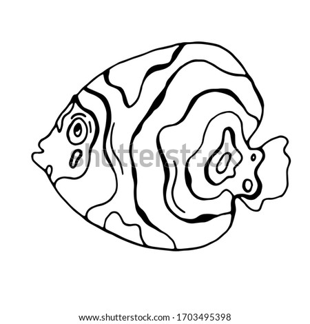 Marine decorative fish on a white background. Aquarium fish. Vector isolated illustration with sea fish. Lake inhabitants. The inhabitants of the ocean. Design of a summer cafe-sign. Menu design.