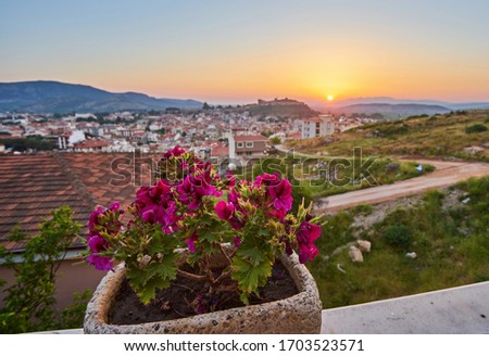 Silhouette of flower potted plant hang outdoor against fiery sunset blur nature outdoor background