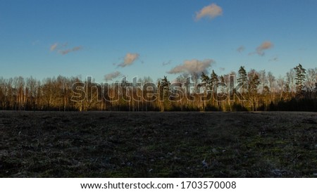Grass meadow after winter, forest background