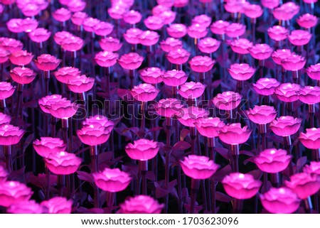 Electric roses for the background