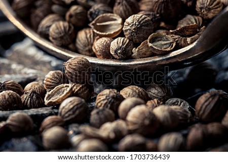 mood picture of dry coriander seeds closeup 