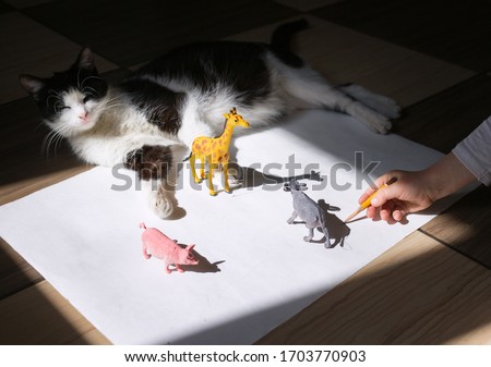 child draws contrasting shadows from the toy figures of animals along the contour with a pencil. drawing of a preschooler, creative ideas for children's creativity. Interesting activities for children