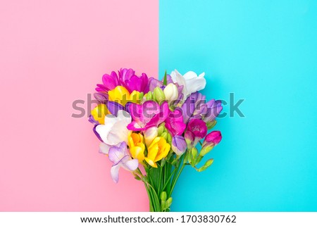 Bouquet of freesia flowers on pink and blue background Floral holiday card Top view Flat lay Happy Mother's, Valentine's, Women's Day Mock up