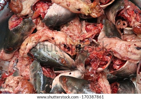 A mass of fish heads and guts on display at a local market in Cambodia. Royalty-Free Stock Photo #170387861