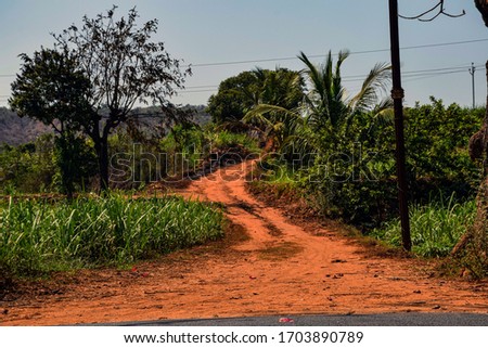 Stock photo of empty curved red soil pathway thru farmland, trees and crops are on the both side of the pathway. Picture captured during summer season at Indian rural area Kolhapur, Maharashtra,India.