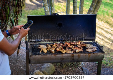 Caribbean barbecue on a homemade grill in the jungle.