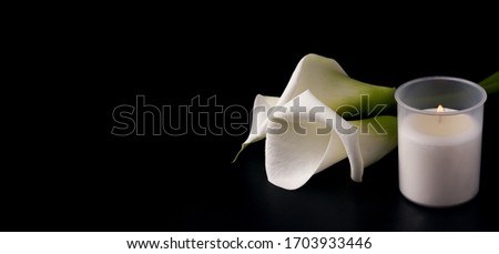 White flowers of Zantedesia with a candle on a black background. Copy space. The concept of estimates, mourning. banner