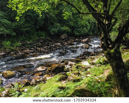 A beautiful shot of stream water in the forest