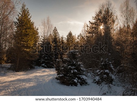 Beautiful winter landscape with lot of snow