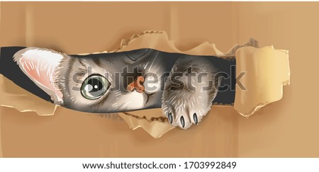 cute cat peeking through cardboard illustration