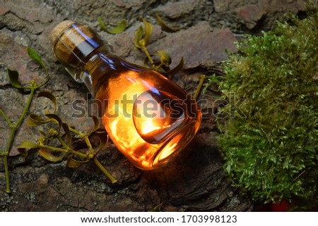 Secret Magical Elixir forest scenery Royalty-Free Stock Photo #1703998123