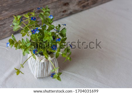 Bunch of forget-me-nots on wooden background. spring concept. Greeting card for Valentine's day, Mother's Day, 8 March