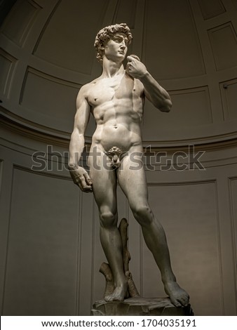 David - Michelangelo Buonarroti in florence academy Royalty-Free Stock Photo #1704035191