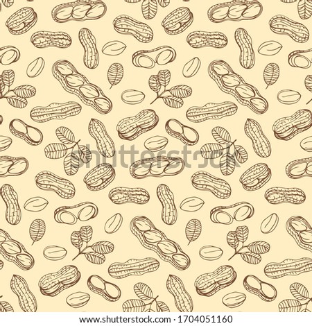 Graphics pattern Peanut. Nuts hand drawn, doodle style Royalty-Free Stock Photo #1704051160