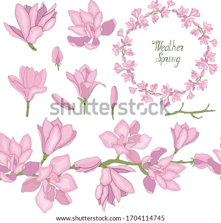 Flowers of magnolia,  branches and seamless brush for gift cards. Set of magnolia flowers for clipart. Flowers of magnolia vector  hand draw celebrate holiday. Vector hand draw  Illustration EPS10