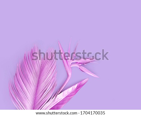 Purple metallic palm leave with golden strelitzia flower. Isolated on purple. 