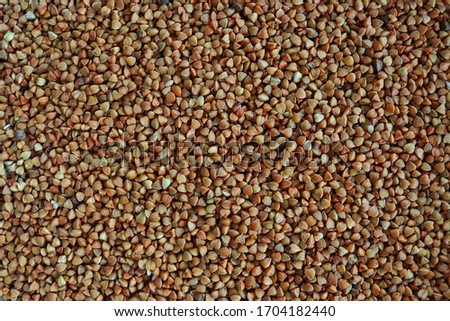 Scattered buckwheat. Background of buckwheat