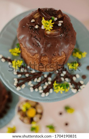 
milk chocolate cake decorated with yellow flowers and chocolate willow